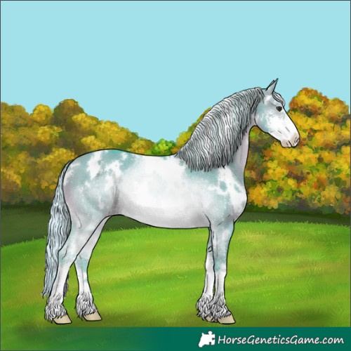 Horse Color:Watercolor White Spotted Silver Brown Dun Sabino Rabicano 