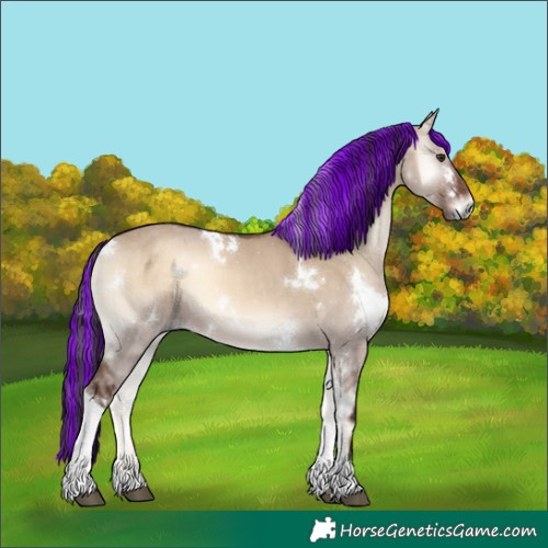 Horse Color:Painted White Spotted Liver Red Dun Onyx Tobiano 