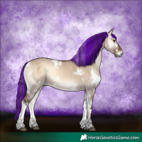 Horse Color:Painted White Spotted Liver Red Dun Onyx Tobiano 