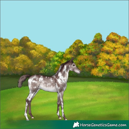 Horse Color:Platinum White Spotted Chocolate Brown Dun