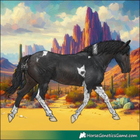 Horse Color:Brown Tobiano 