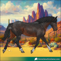 Horse Color:Brown Tobiano 