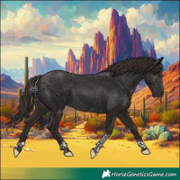 Horse Color:Liver Chestnut Tobiano Rabicano