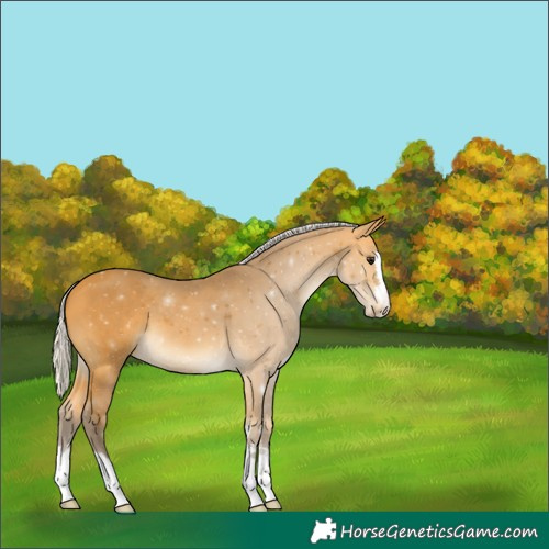 Horse Color:Silver Buckskin 