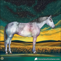Horse Color:Gray White Spotted Black  and Gray White Spotted Black 