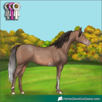 Horse Color:Sable Champagne Tobiano Rabicano 