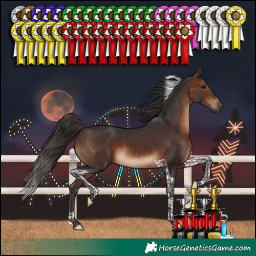 Horse Color:Brown Tobiano
