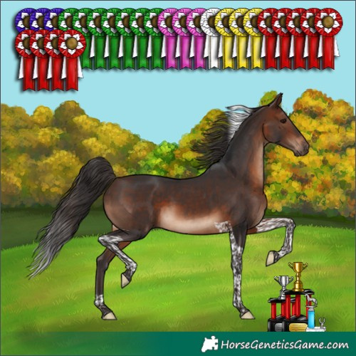 Horse Color:Brown Tobiano