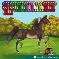 Horse Color:Brown Tobiano