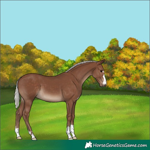 Horse Color:Silver Black 