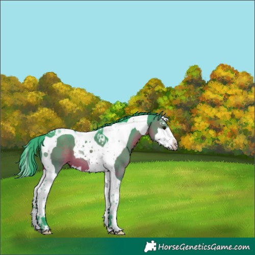 Horse Color:Watercolor Brown Splash Tobiano 
