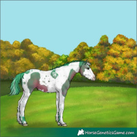Horse Color:Watercolor Brown Splash Tobiano 