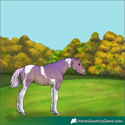 Horse Color:Watercolor Silver Bay Tobiano 