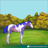 Horse Color:Watercolor Brown Splash Tobiano 