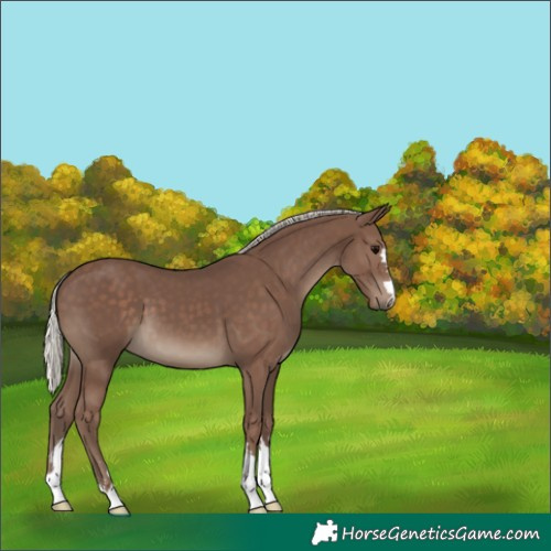 Horse Color:Silver Black 