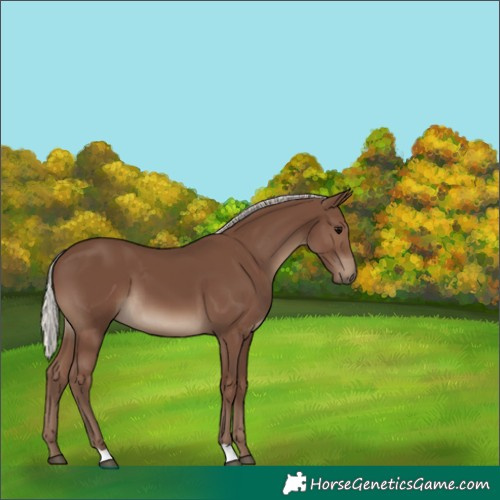 Horse Color:Silver Black 