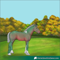 Horse Color:Watercolor Silver Brown Tobiano 