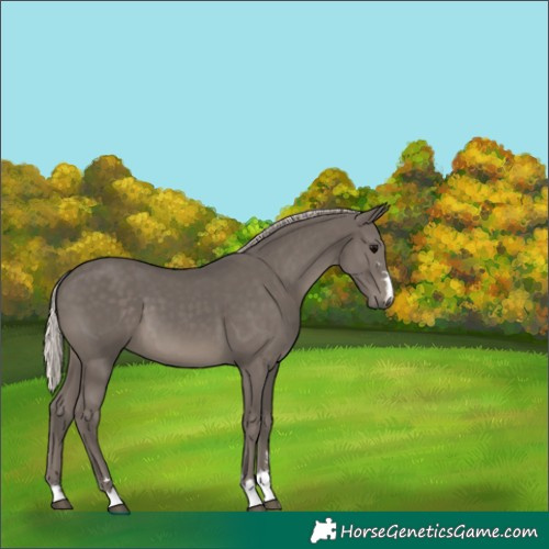 Horse Color:Silver Black 