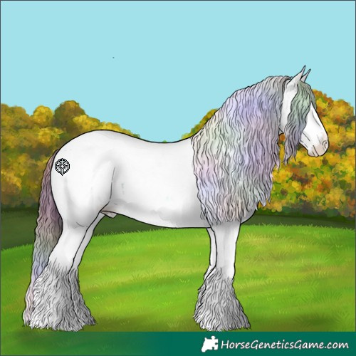 Horse Color:Nacre White Spotted Liver Chestnut Ice Splash Tobiano Appaloosa 