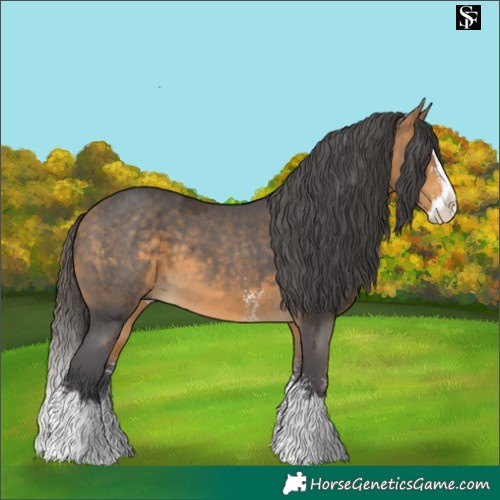 Horse Color:Buckskin Merle Sabino Splash 