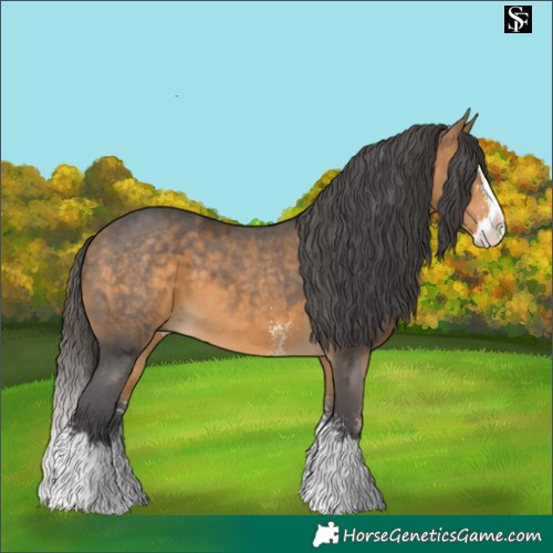 Horse Color:Buckskin Merle Sabino Splash 