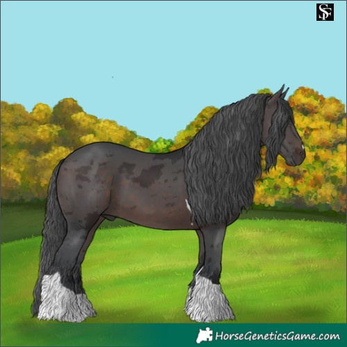 Horse Color:Brown Merle Tobiano