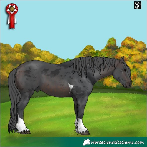 Horse Color:Brown Merle Tobiano 