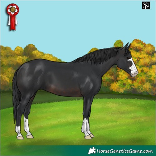 Horse Color:Brown 