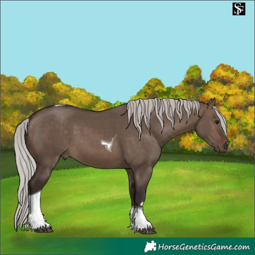 Horse Color:Silver Brown Dun Tobiano 