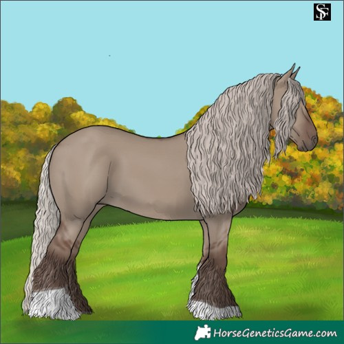 Horse Color:Silver Grullo Tobiano Rabicano 