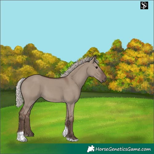 Horse Color:Silver Grullo Tobiano Rabicano