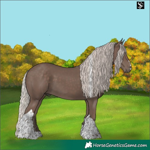 Horse Color:Silver Black Tobiano 