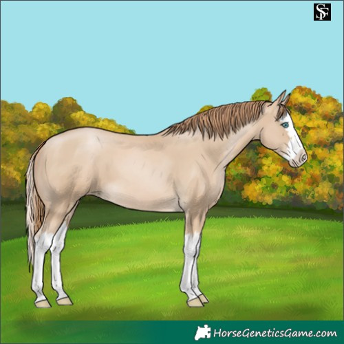 Horse Color:Smoky Black Pearl Splash 