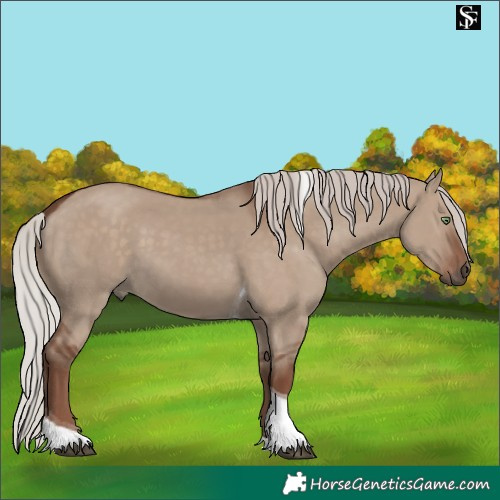 Horse Color:Silver Grullo Tobiano Rabicano 