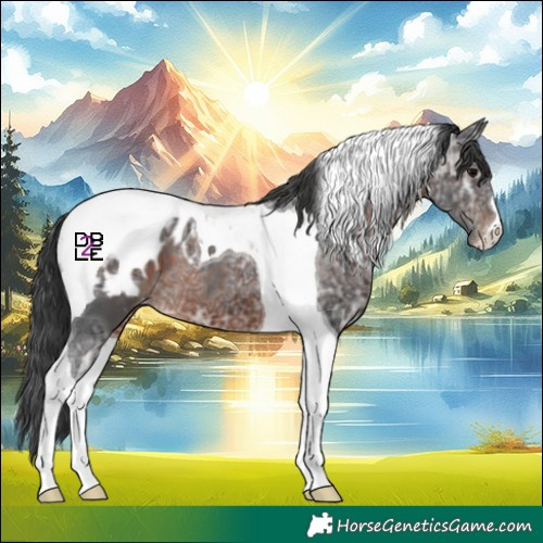 Horse Color:Brown Ice Tobiano Appaloosa 