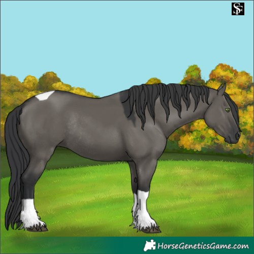 Horse Color:Grullo Tobiano Rabicano 