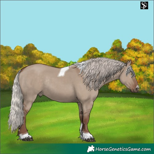 Horse Color:Silver Grullo Tobiano Rabicano