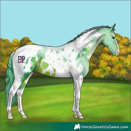 Horse Color:Watercolor Brown Tobiano Appaloosa 