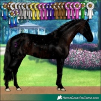 Horse Color:Void Brown Splash Tobiano Appaloosa