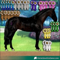 Horse Color:Void Brown Splash Tobiano Blanket 