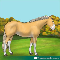 Horse Color:Palomino Splash 
