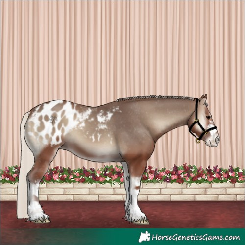 Horse Color:White Spotted Silver Blue Onyx Blanket 