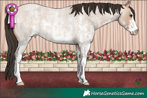 Horse Color:Bay Roan Dun Sabino