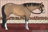 Horse Color:Bay Roan Dun Sabino