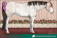 Horse Color:Bay Roan Dun Sabino