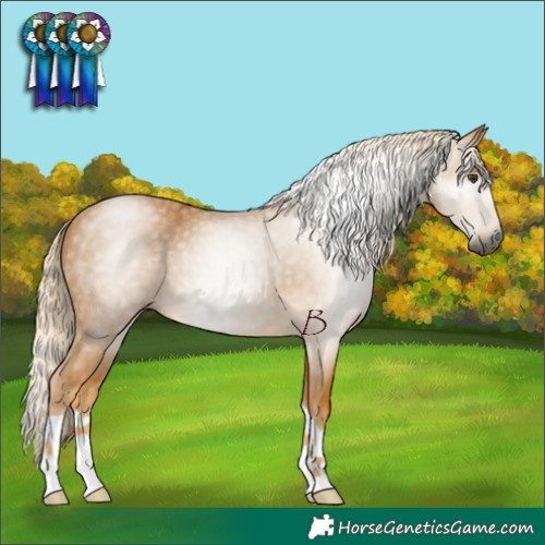 Horse Color:Gray Palomino