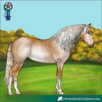 Horse Color:Gray Palomino 