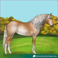 Horse Color:Gray Palomino