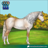 Horse Color:Gray Palomino