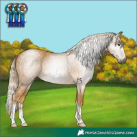 Horse Color:Gray Palomino 